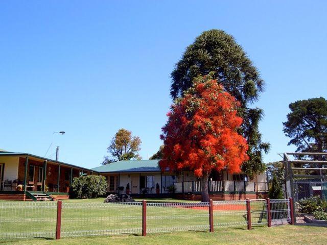 Snowy River Homestead Newmerella Exteriör bild